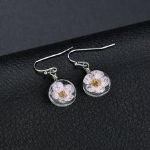 Load image into Gallery viewer, Retro Glass Handmade Natural Dry Flower  Earrings
